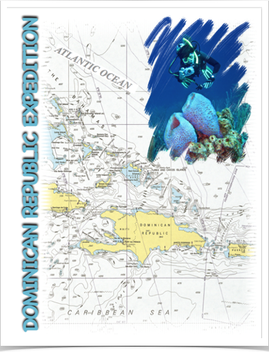 Exploring the marine ecosystems surrounding the Dominican Republic. Exploring the marine ecosystems surrounding the Dominican Republic.